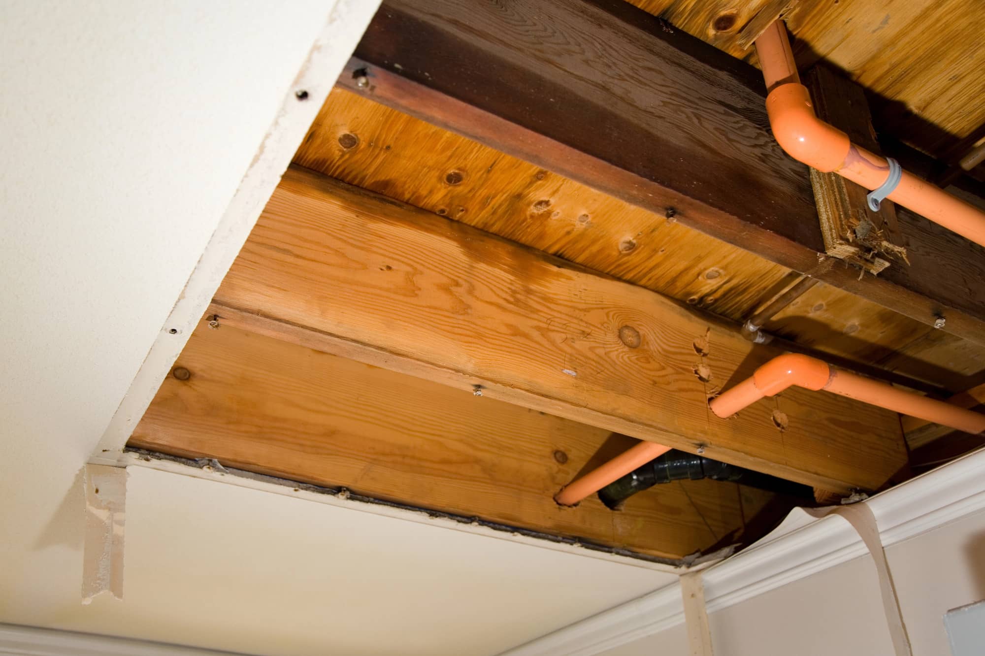 Restoration services